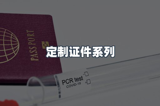 定制证件系列